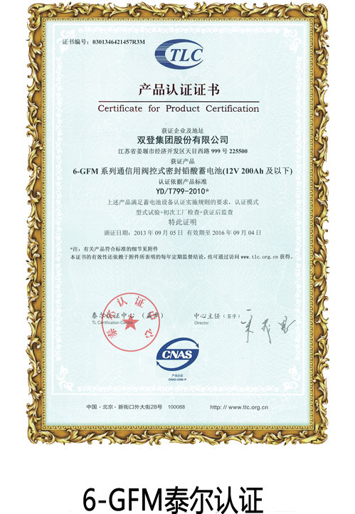 6-GFM泰爾認證